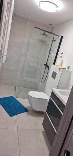 ein Badezimmer mit Toilette und Dusche in der Unterkunft Angel in Kołobrzeg