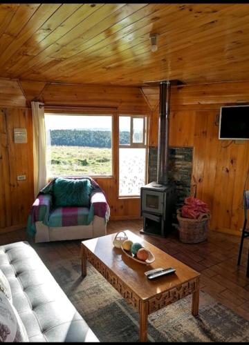 a living room with a couch and a stove at Domo Vientos del Sur in Ancud