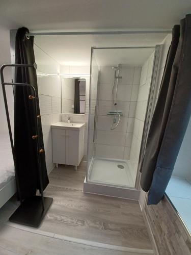 La salle de bains est pourvue d'une douche et d'un lavabo. dans l'établissement Charmant T2 duplex Centre de Foix, à Foix