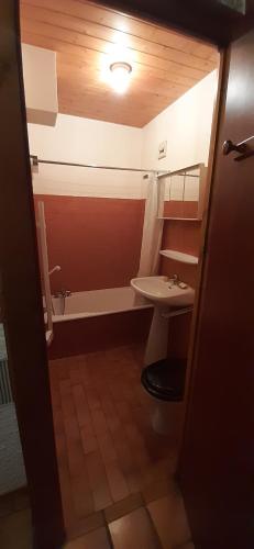 une petite salle de bain avec toilettes et lavabo dans l'établissement Appartement 6 personnes à Saint-Jean-De-Sixt, Navette gratuite vers La Clusaz et Le Grand Bornand, à Saint-Jean-de-Sixt