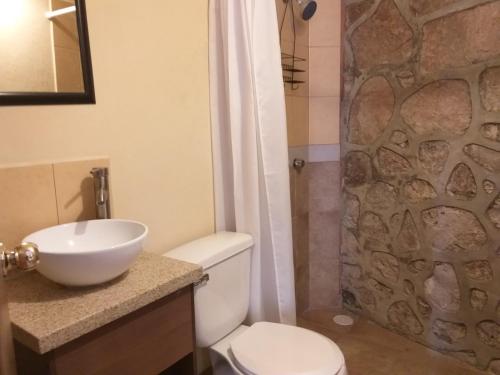 een badkamer met een toilet, een wastafel en een douche bij Hotel Jardín del Cantador in Guanajuato