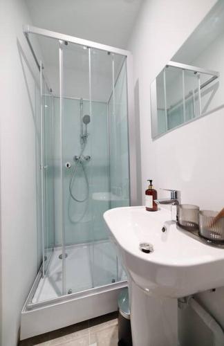 une salle de bain avec une douche en verre et un lavabo dans l'établissement Appartement Place des Terreaux, à Lyon