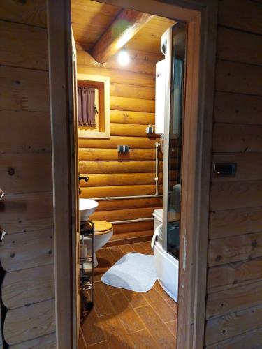 a bathroom with a toilet and a sink at Apartments Greenstone in Kolašin
