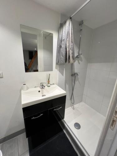 een witte badkamer met een wastafel en een douche bij Studio indépendant plein pied avec mezzanine in Joinville-le-Pont