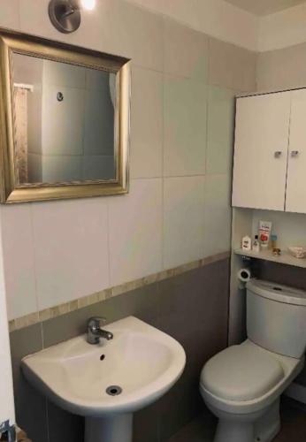 ein Badezimmer mit einem Waschbecken, einem WC und einem Spiegel in der Unterkunft Studio Park in Montevideo