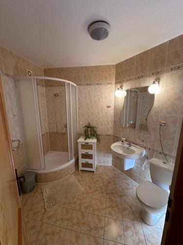 a bathroom with a toilet and a shower and a sink at Penzion Benešov in Broumov