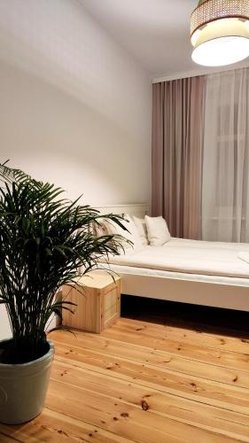 een slaapkamer met een bed en een potplant bij Apartament Staszica 6 in Słupsk