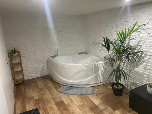 Gallery image of Suite 80 in Barletta