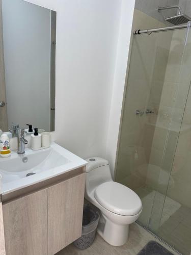 uma casa de banho com um WC, um lavatório e um chuveiro em EXCLUSIVO APTO CON VISTA Y FRENTE AL MAR em Gaira
