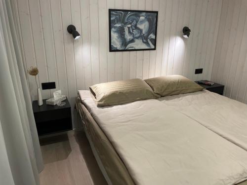 1 dormitorio con 1 cama y una foto en la pared en Tondikaku Holiday Home, en Otepää