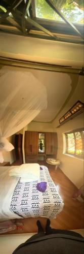 a bedroom with a bed in a room with windows at Lido Azzurro Garuga in Wakiso