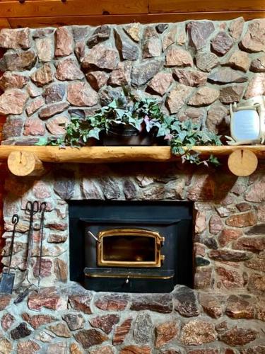 a stone wall with a fireplace with a potted plant at Rustic U.P. Retreat in Marquette in Marquette