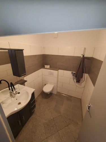 La salle de bains est pourvue d'un lavabo et de toilettes. dans l'établissement Große 3 Zi Wohnung auf der Pferde Farm, à Lahr-Dinglingen