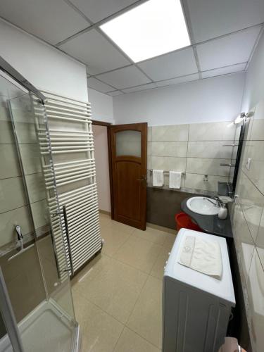 a bathroom with a toilet and a shower and a sink at Cozy Central Apartment in Sighetu Marmaţiei