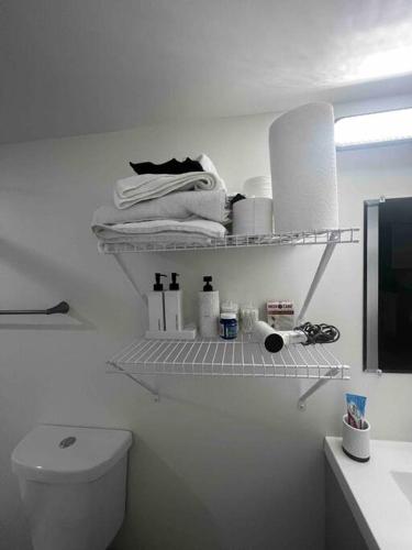 een badkamer met een toilet en handdoeken op een plank bij Cozy & Private Entire Basement in Winnipeg