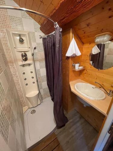 La petite salle de bains est pourvue d'une douche et d'un lavabo. dans l'établissement Charme des montagnes et Annecy, à Thônes