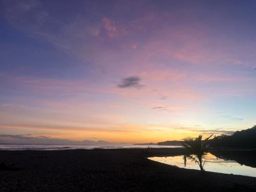 a sunset on a beach with a palm tree at Secret Paradise in Cocles