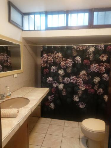 a bathroom with a flower pattern on the wall at Global Family Backpackers Hostel in Lima