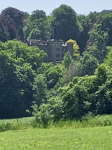 an old castle in the middle of the trees at Ap4 Nature Ardennes Economy class apartment in La Calamine