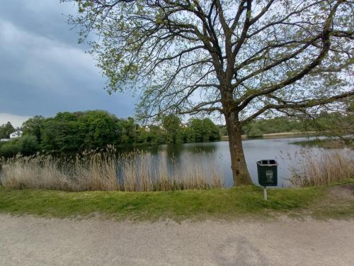 a tree next to a lake with a trash can at Ap4 Nature Ardennes Economy class apartment in La Calamine