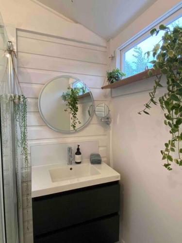 a bathroom with a sink and a mirror and a window at Sylvester’s on Lamont. Arty in Invermay. in Invermay