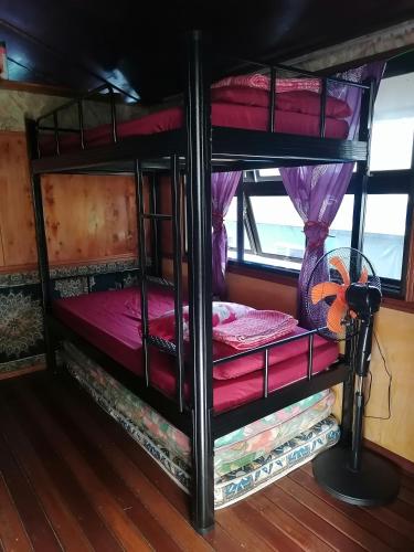 a couple of bunk beds in a room at Royal Belum Mystical in Gerik