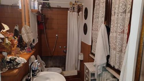y baño con ducha, lavabo y aseo. en Casale Toscano in aperta campagna en Figline Valdarno