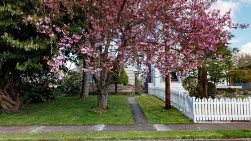 einen blühenden Baum in einem Hof neben einem weißen Zaun in der Unterkunft Hazel's Hideaway apt in walkable historic area in Snohomish