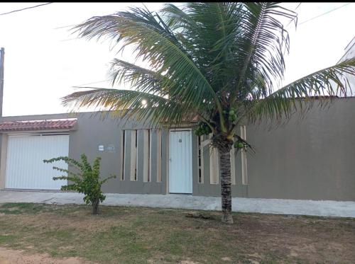 聖馬特烏斯的住宿－Casa de praia em Guriri，房屋前的棕榈树