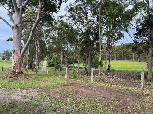 a dirt road in a field with trees at Farmstay - LJHooker Yamba in Maclean