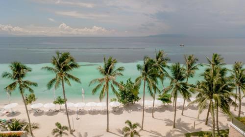 an aerial view of a beach with palm trees at Modala Beach Resort in Panglao