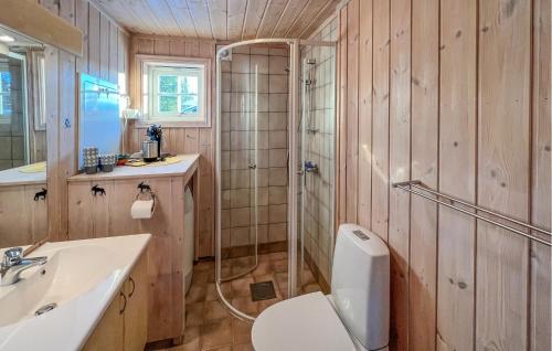 Sjusjøen的住宿－Stunning Home In Sjusjen With Sauna，带淋浴、卫生间和盥洗盆的浴室