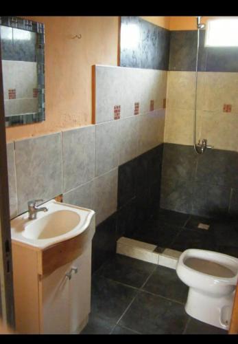 y baño con lavabo, aseo y ducha. en Casa con pileta en icho cruz en Villa Icho Cruz