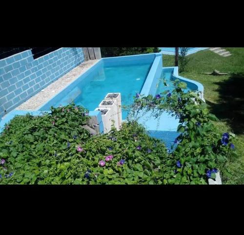 una piscina azul con flores púrpuras delante en Casa con pileta en icho cruz en Villa Icho Cruz