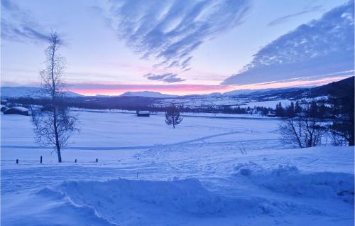 un champ recouvert de neige avec un coucher de soleil en arrière-plan dans l'établissement Cozy Apartment In Rn With Kitchen, à Ron