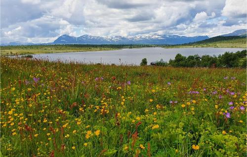 a field of flowers in front of a body of water at Cozy Apartment In Rn With Kitchen in Ron