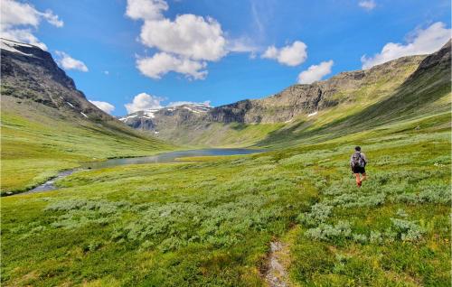 a person walking through a grassy field with a river and mountains at Cozy Apartment In Rn With Kitchen in Ron