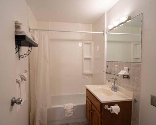 三河城的住宿－223 Charmante chambre double，带淋浴和盥洗盆的白色浴室