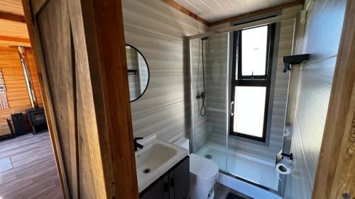 a bathroom with a sink and a mirror at Puerta austral in Puelo