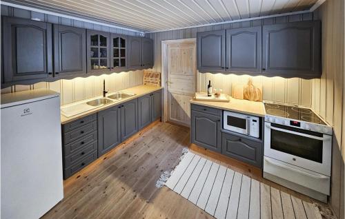 Awesome Home In Fyresdal With Kitchen في Fyresdal: مطبخ مع الدواليب الزرقاء البحريه والاجهزه البيضاء