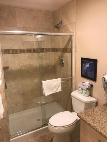 a bathroom with a toilet and a glass shower at Amazing Location - Large and Luxurious 1 Bedroom Beach Condo By Beaches and Attractions in Solana Beach