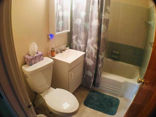 a bathroom with a toilet and a sink and a shower at Close to Falls, Steps to Casino, Sleeps 7-8 in Niagara Falls