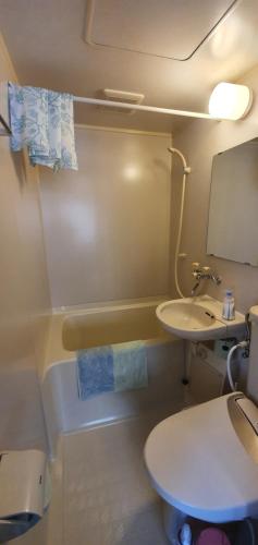ein Badezimmer mit einem Waschbecken, einem WC und einer Badewanne in der Unterkunft snowhere ski lodge in Hakuba