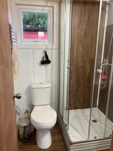 uma pequena casa de banho com WC e chuveiro em Refugio Costa Lenca em Lenca