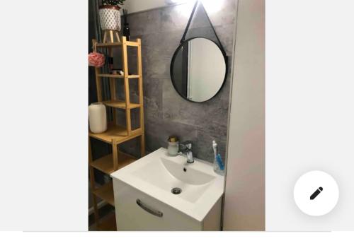 a bathroom with a white sink and a mirror at Le cocon boulevard Yves farge in Lyon