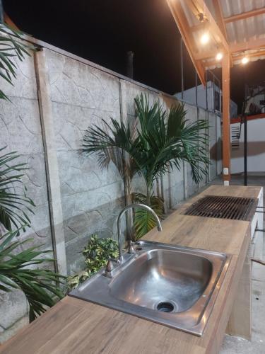 un fregadero de acero inoxidable en una cocina con plantas en Casas Dñ Juanita en Jacó