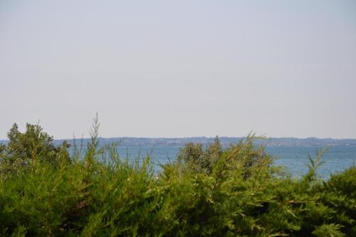 a view of a body of water with grass at Locanda Le Palafitte in Bardolino