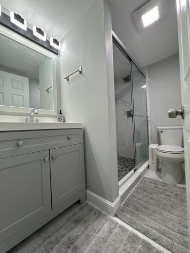 a bathroom with a toilet and a sink and a shower at Cozy Finished Garden Level Bed+Bath in Dedham