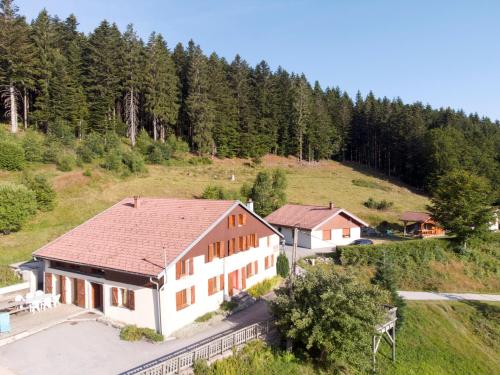 Vue aérienne d'une maison dans une forêt dans l'établissement Gites les Plombes, à Xonrupt-Longemer