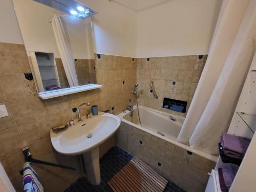 ein Badezimmer mit einem Waschbecken und einer Badewanne in der Unterkunft Gite la ferme des maraîchers in Albigny-sur-Saone